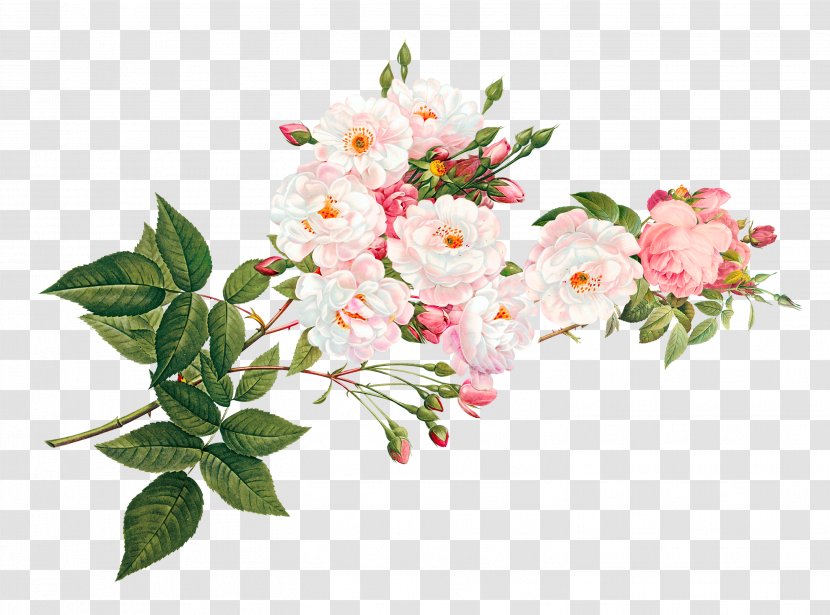 Vecteur - Floral Design - Bright Flowers Transparent PNG