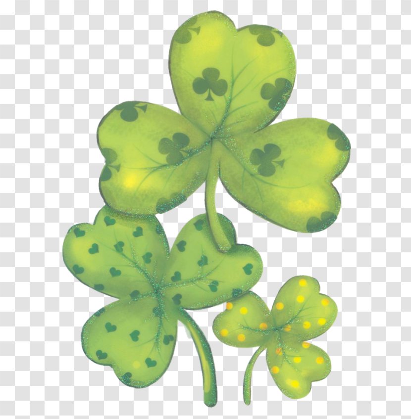Saint Patrick's Day Shamrock Flower Symbol - Leaf - Patrick Transparent PNG