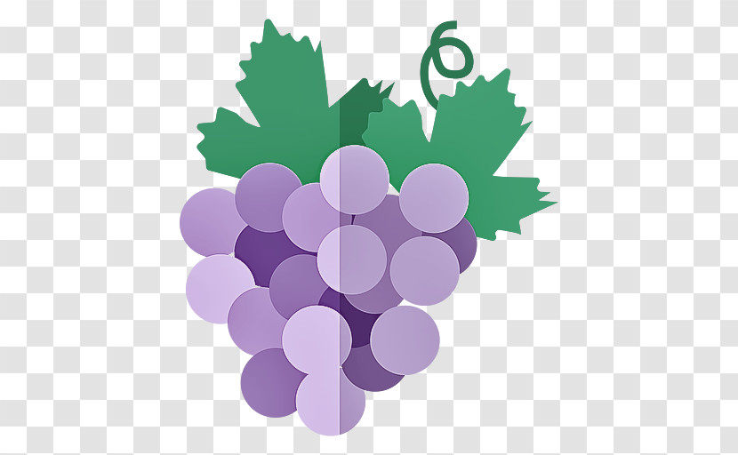 Grape Grapevine Family Purple Vitis Violet Transparent PNG
