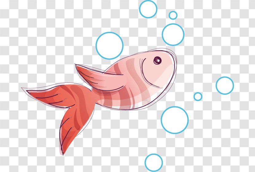 Swim The Fish Illustration - Frame - Living World,fish Transparent PNG