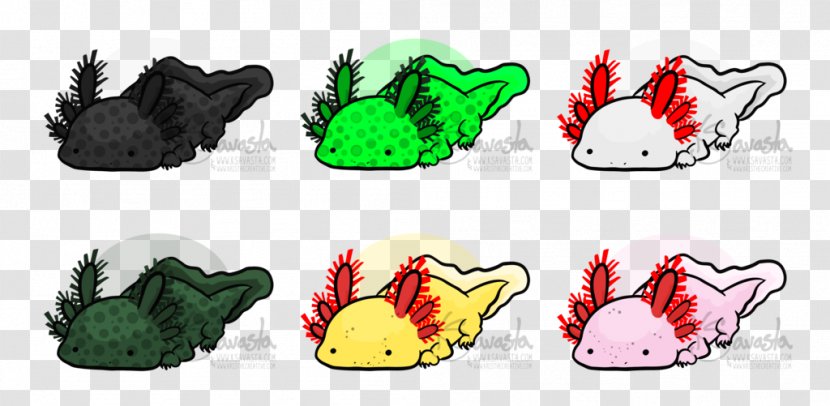 Axolotl Salamander DeviantArt Design - Caricature - Rainbow Frogs Amphibians Transparent PNG