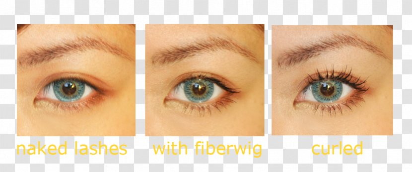Eyelash Extensions Eye Liner Mascara Brown - Heart - EYELASH CURLER Transparent PNG
