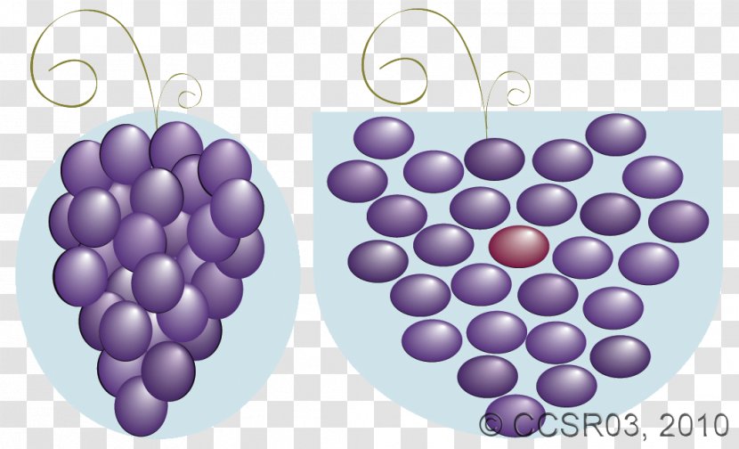 Grape - Violet - Compression Transparent PNG