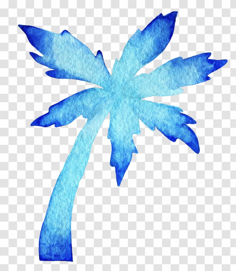 Watercolor Painting Drawing - Blue Coconut Tree Transparent PNG