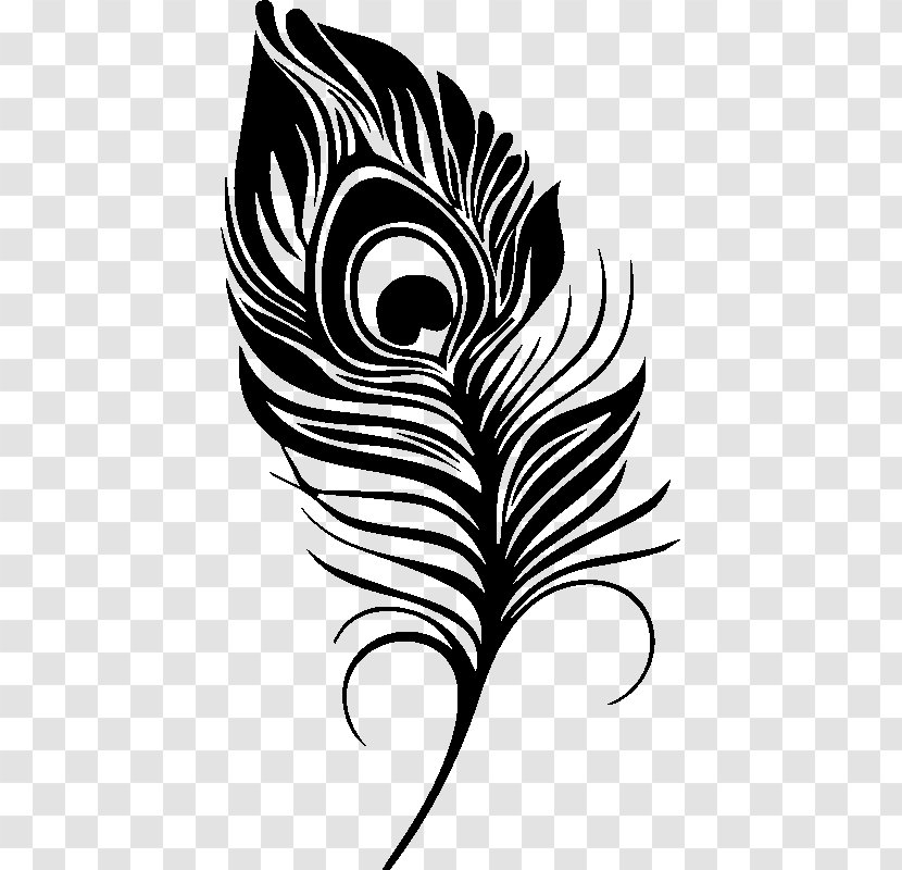 Feather Pavo Drawing - Flowering Plant Transparent PNG