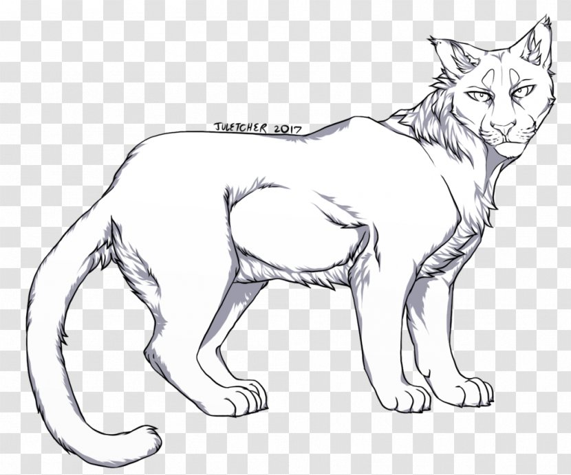 Whiskers Wildcat Big Cat Cougar - Animal Figure - Sketch Transparent PNG