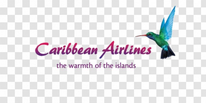 Piarco International Airport Cheddi Jagan Caribbean Airlines Limited Flight - Beat Advertising Transparent PNG