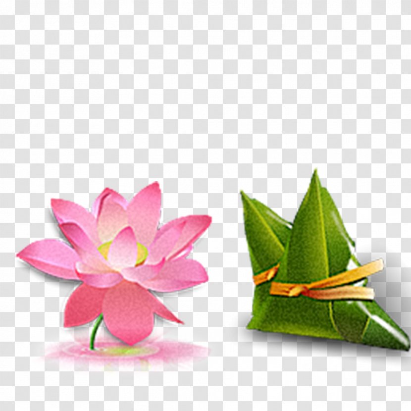 China Icon Design - Flowering Plant - Lotus Transparent PNG