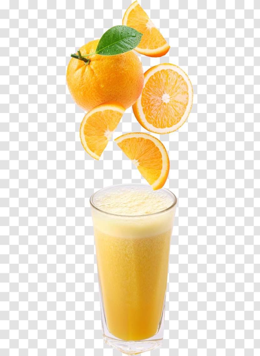 Orange Juice Drink Ice Cream Apple - Haagendazs Transparent PNG