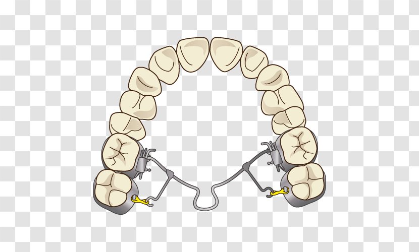 矯正歯科 審美歯科 Tooth Whitening Therapy - Poster - Orthodontics Transparent PNG
