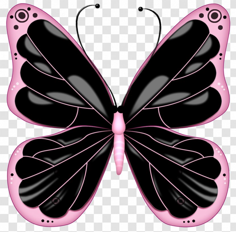 Butterfly Drawing Clip Art - Painting - Pink Beautiful Cliparts Transparent PNG
