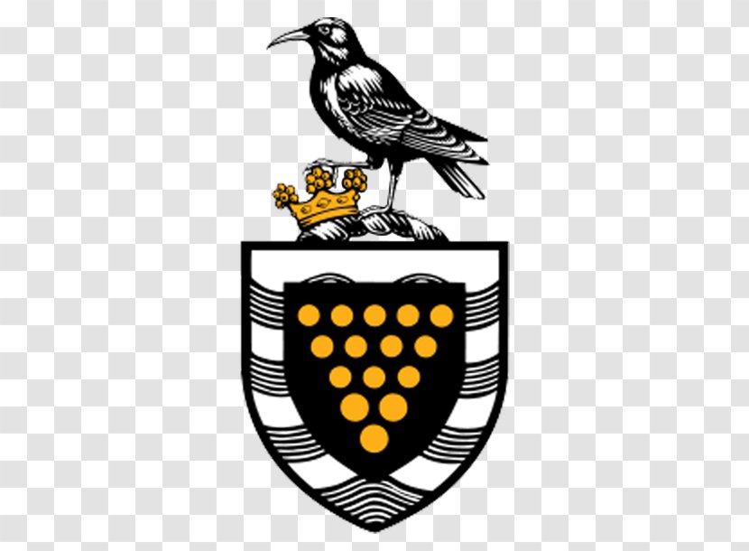 Lostwithiel Cornwall Council Falmouth St Erth - Beak Transparent PNG