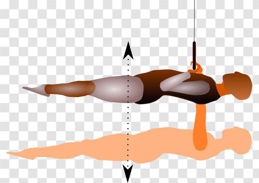 Physical Fitness Angle Clip Art - Joint - Stance Exercises At High Temperatures Transparent PNG