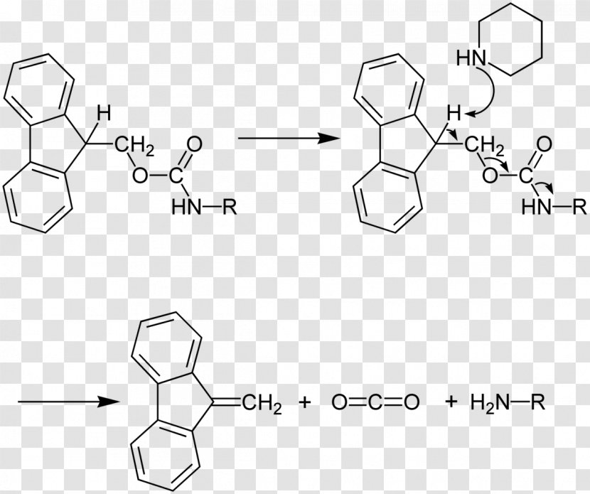 Fluorenylmethyloxycarbonyl Chloride Protecting Group Peptide Synthesis Piperidine Amine - Drawing Transparent PNG