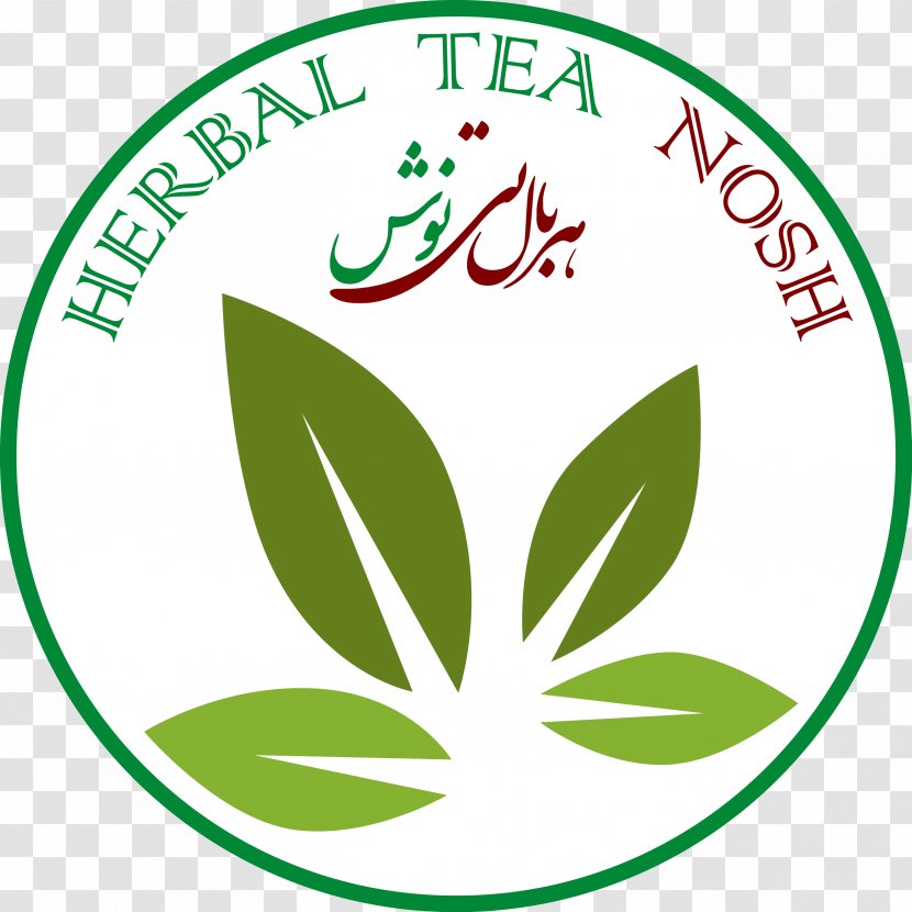 University Master's Degree Education College Organization - School - Herb Tea Transparent PNG