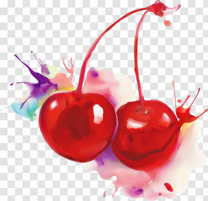 Cherry Watercolor Painting Fruit Transparent PNG