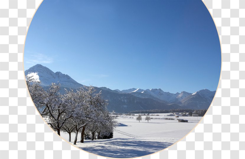 Mount Scenery Alps Glacial Landform Winter Glacier - Tree - Romantic Horse Drawn Carriage Transparent PNG