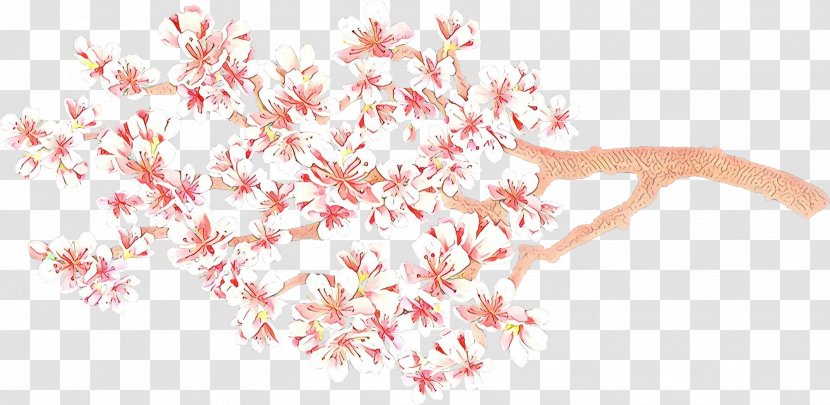 Cherry Blossom - Flower Transparent PNG