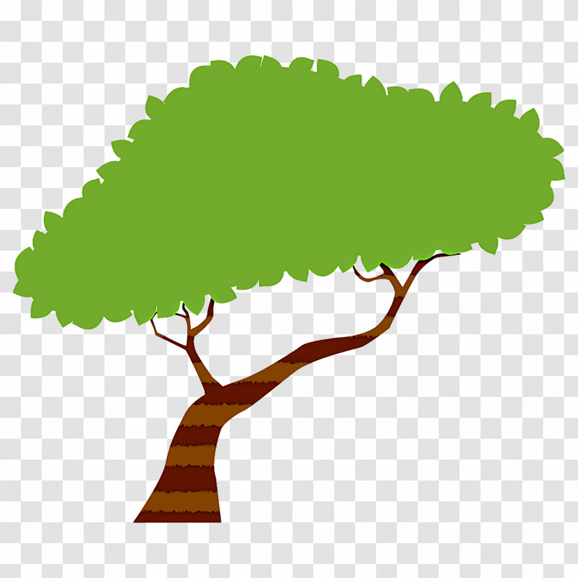 Leaf Green Tree Plant Woody Plant Transparent PNG