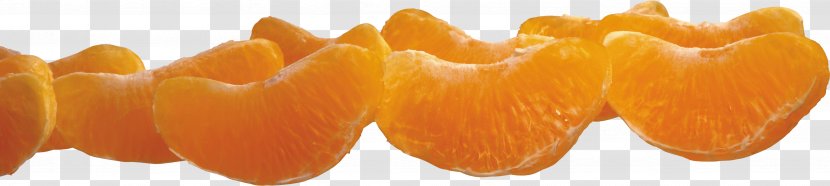 Mandarin Orange Clip Art Digital Image File Format - Vegetarian Food - Contract Transparent PNG