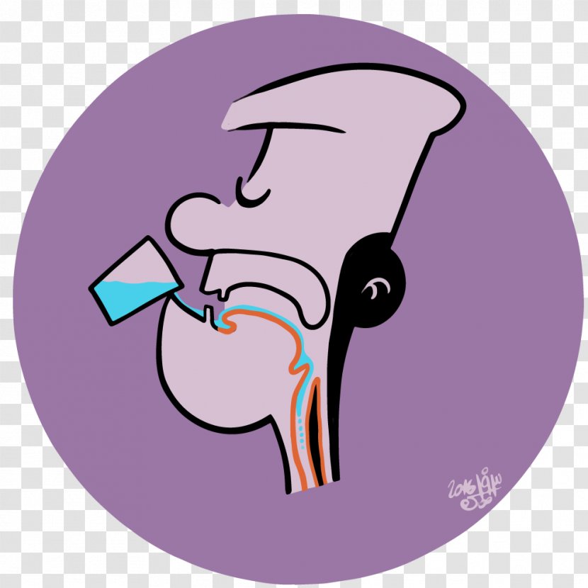 Pharynx Nose Cranial Nerves Muscle - Heart Transparent PNG