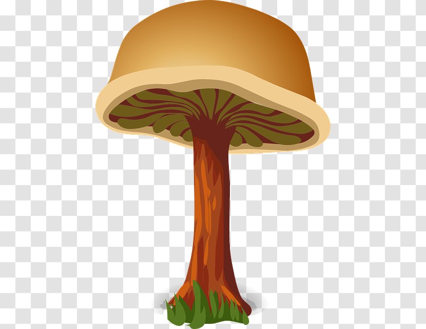 Mushroom Fungus - Hat - Hand-painted Mushrooms Transparent PNG