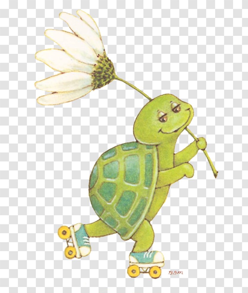 Tortoise Sea Turtle Clip Art Transparent PNG