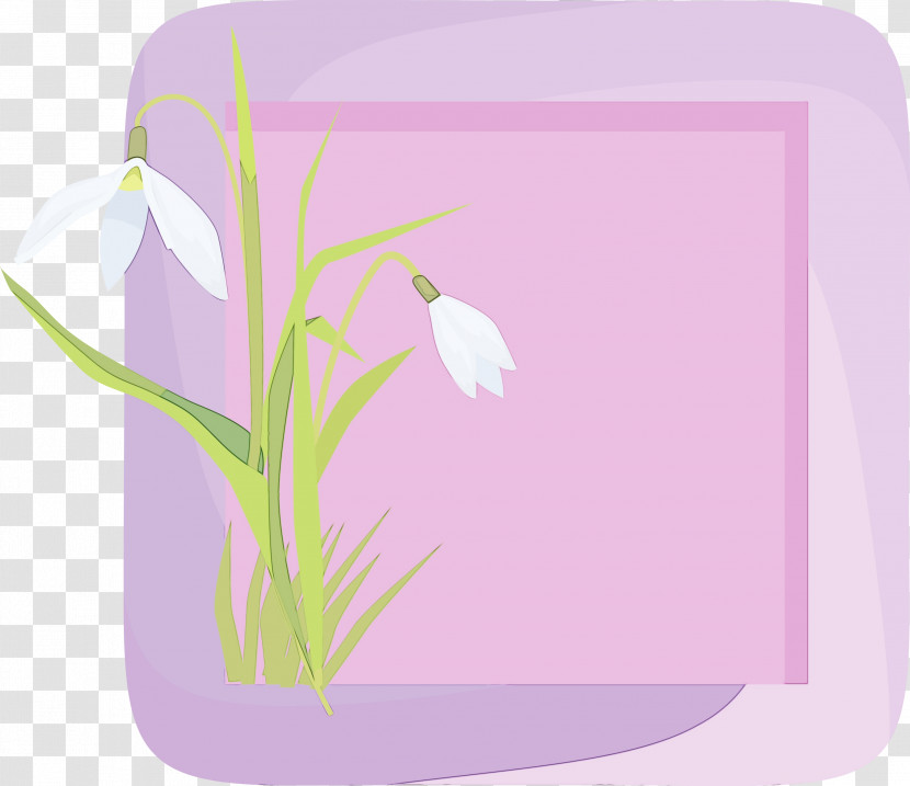 Floral Design Transparent PNG