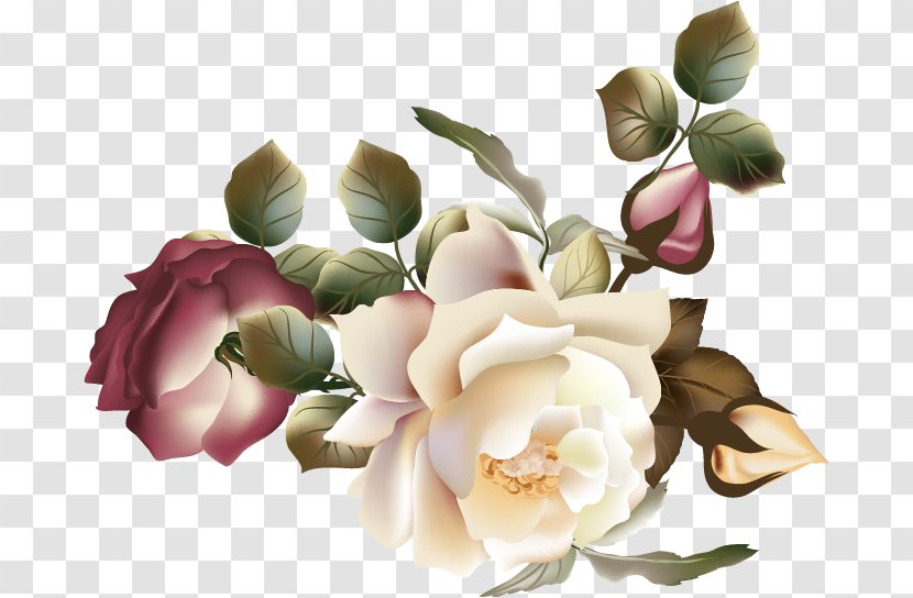 Flower Garden Roses Photography Clip Art - Floral Design - Vector Transparent PNG