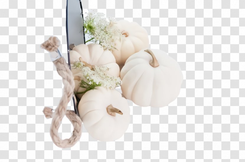 Cut Flowers Flower Plant Beige Transparent PNG