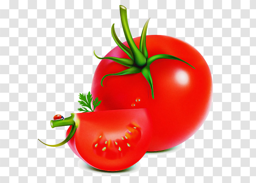 Tomato Transparent PNG