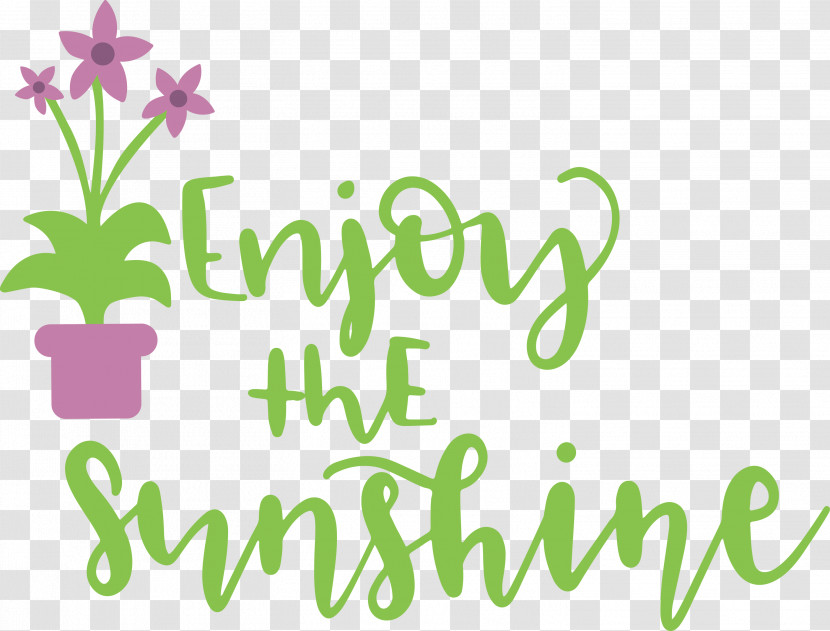 Sunshine Enjoy The Sunshine Transparent PNG