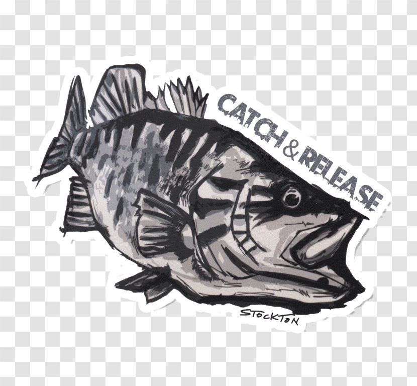 Decal Bass Fishing Sticker Smallmouth - Black And White Transparent PNG