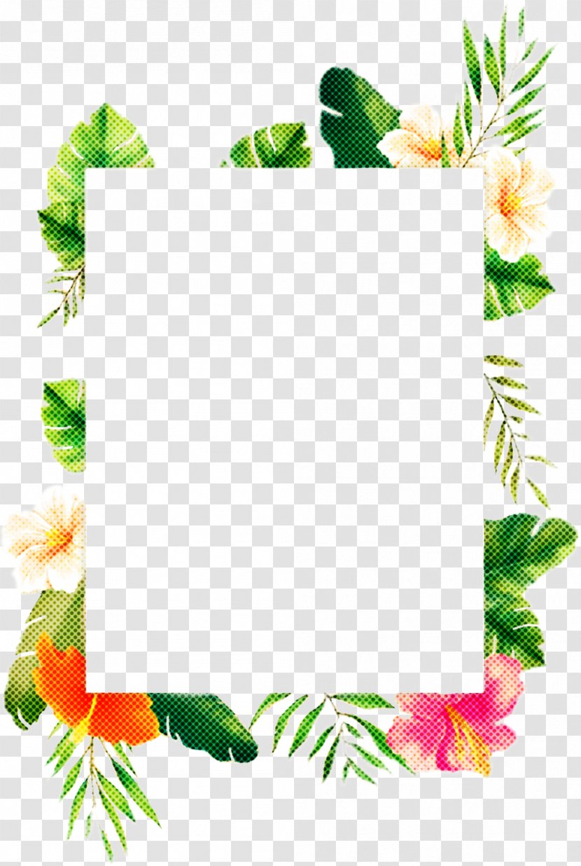 Picture Frame - Plant Transparent PNG