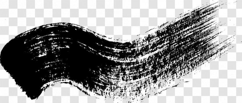 Monochrome Photography - Brush - Stroke Transparent PNG