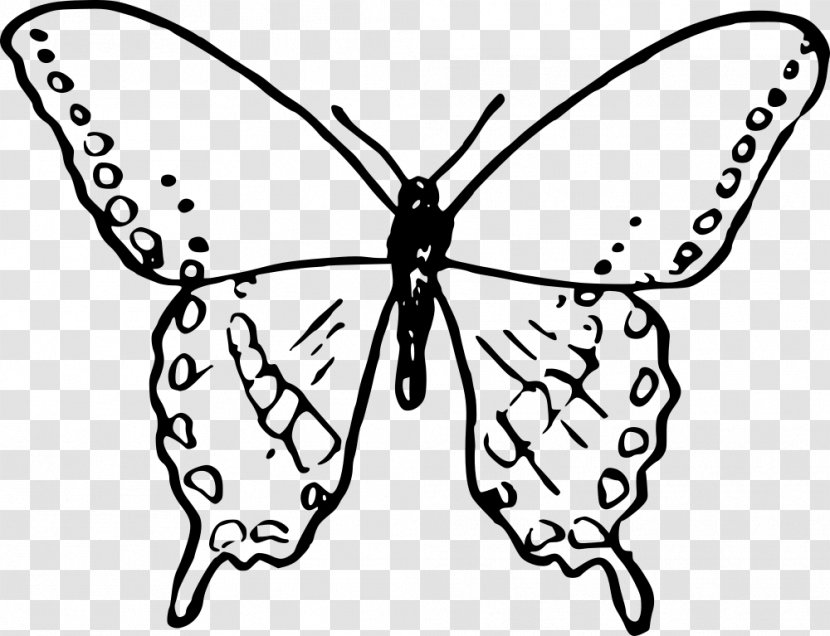 Butterfly Coloring Book Clip Art Transparent PNG