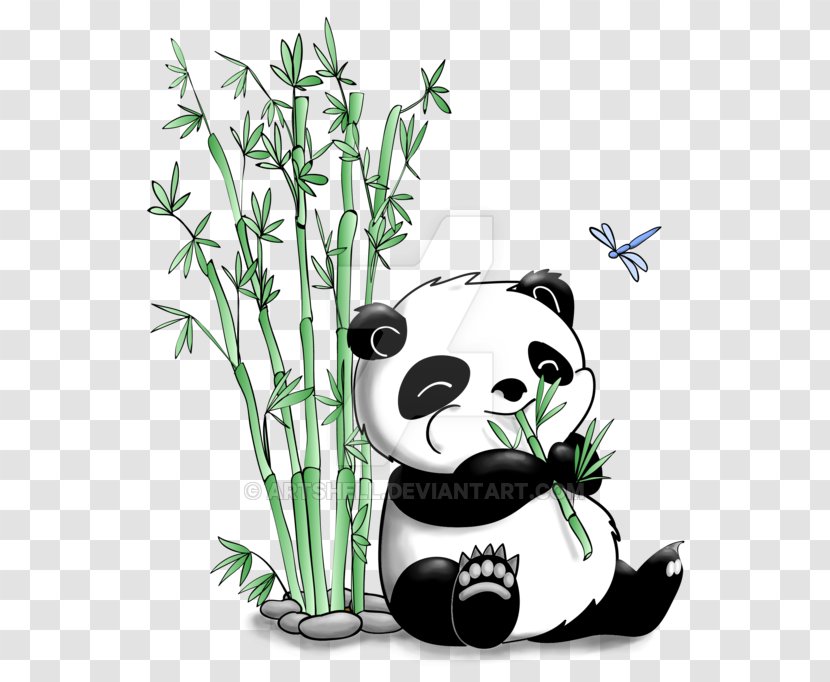 Giant Panda Bamboo Drawing Bear Clip Art - Carnivoran - Eating Transparent PNG