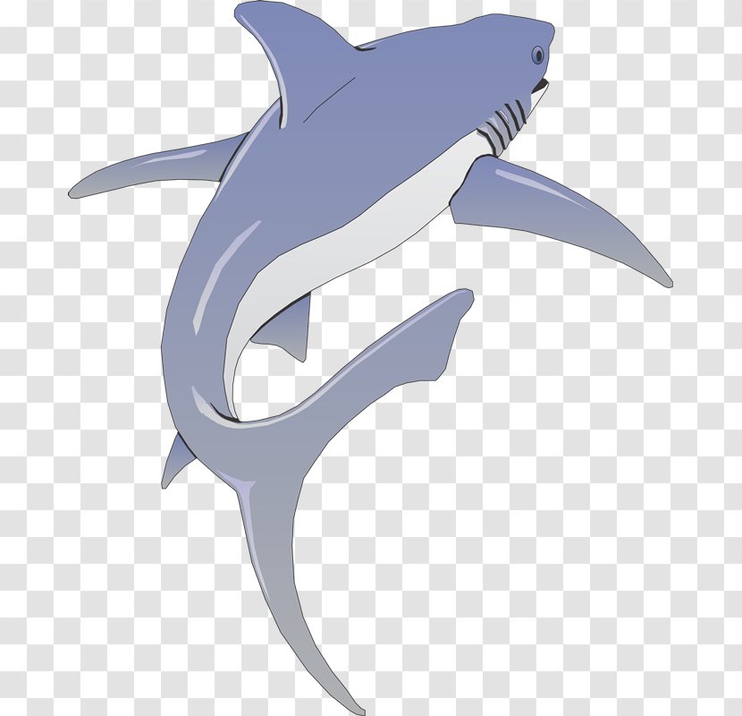 Wall Decal Bumper Sticker Tiger Shark - Fishing - Peces Transparent PNG
