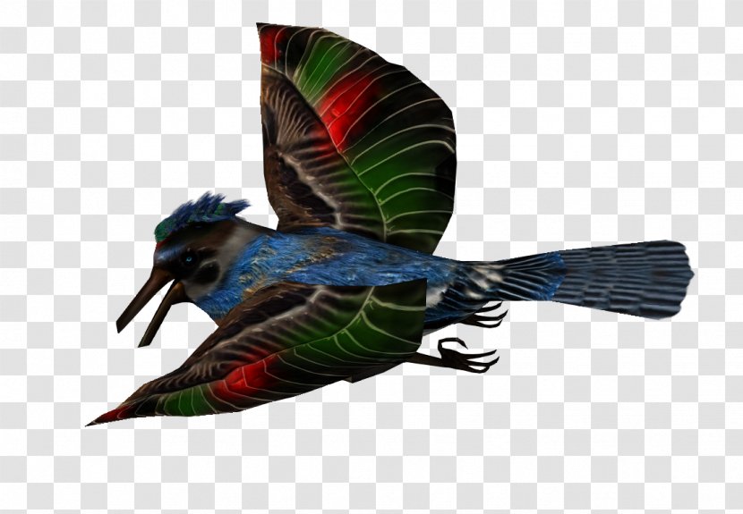 Beak Fauna Feather - Wing Transparent PNG