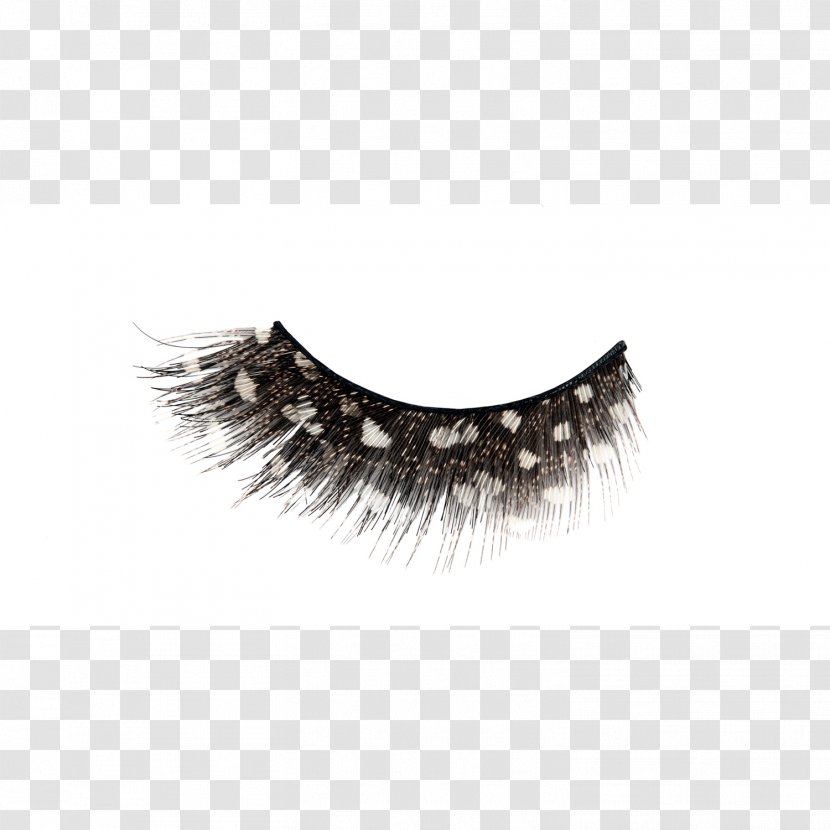 Eyelash Extensions NYX Cosmetics Beauty Parlour - Nyx - Eyelashes Transparent PNG