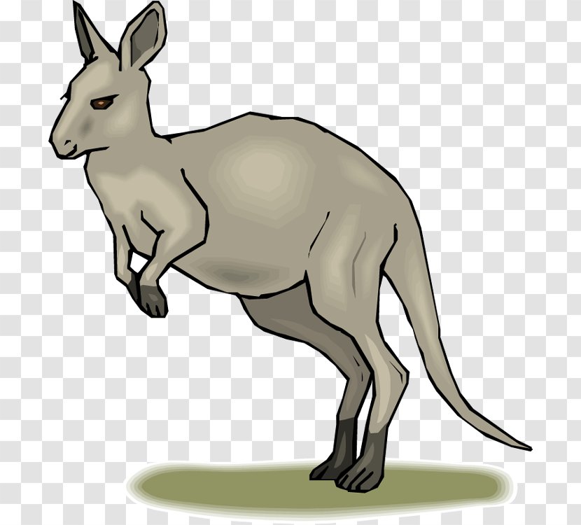 Blog Free Content Clip Art - Kangaroos Cliparts Transparent PNG