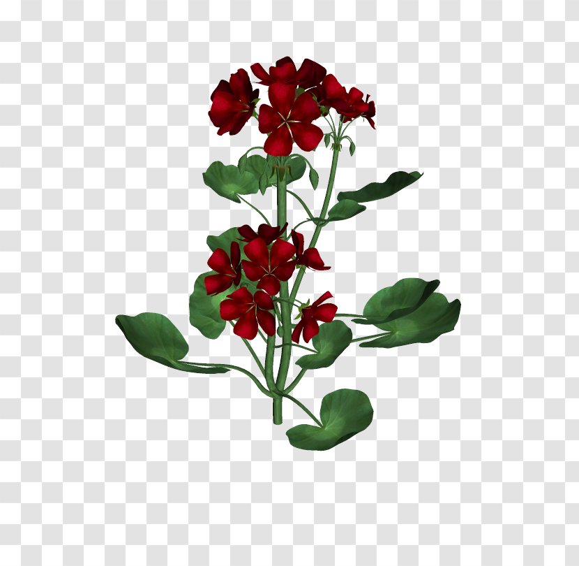 Cut Flowers Plant Stem Family M Invest D.o.o. Plants - 3d Floral Transparent PNG