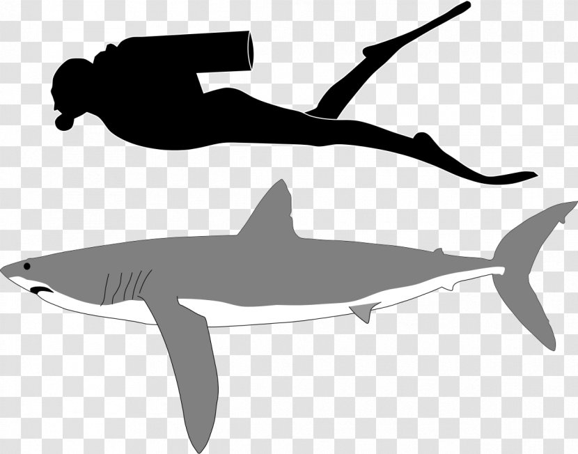 Goblin Shark Tiger Deep Sea Blue - Fin - Sharks Transparent PNG