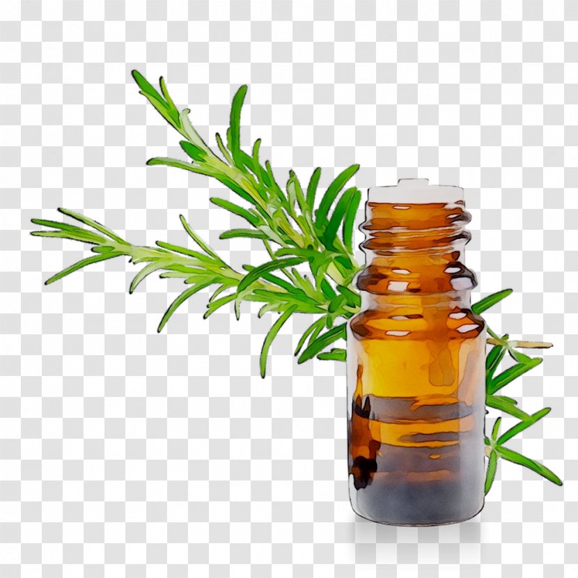 Alternative Health Services Herbalism Medicine Tree - Bottle - Rosemary Transparent PNG