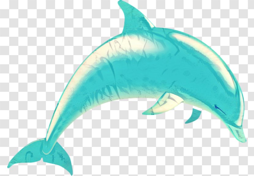 Common Bottlenose Dolphin Vector Graphics Tucuxi Short-beaked - Drawing Transparent PNG