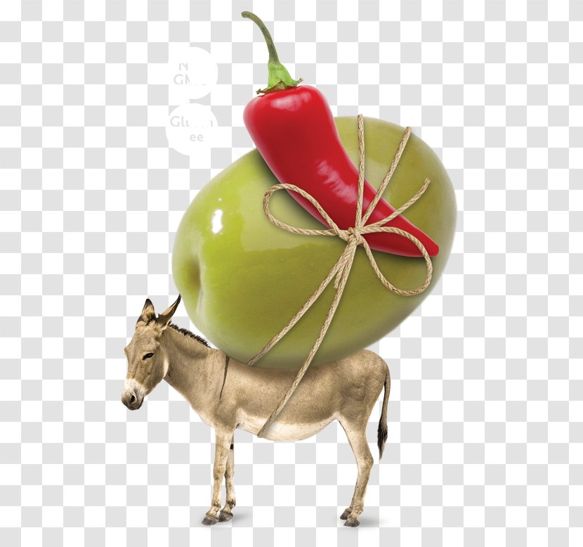 Irish Donkey Mare Foal Milk - Fruit - Olives Transparent PNG