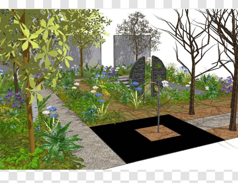 Backyard Tree Walkway Wall Lawn - Flora - Ulmus Minor Transparent PNG