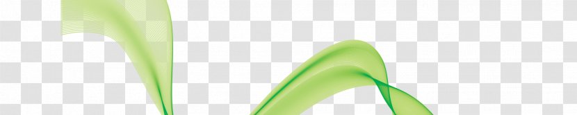 Leaf Green Grasses - Waves Vector Transparent PNG
