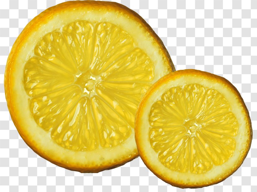 Juice Lemon Gin And Tonic Cocktail Biryani - Grapefruit - Orange Transparent PNG