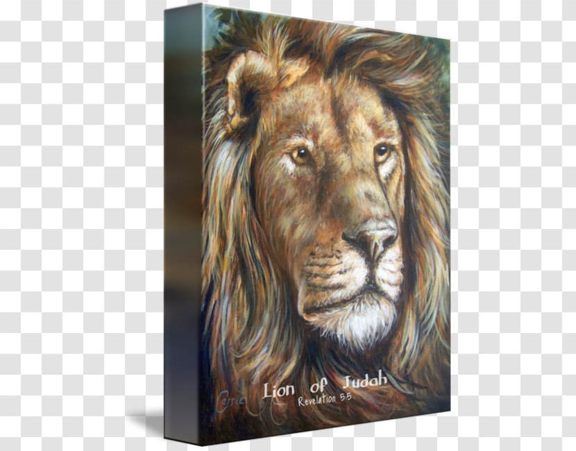 Lion Roar Fine Art Painting - Of Judah Transparent PNG